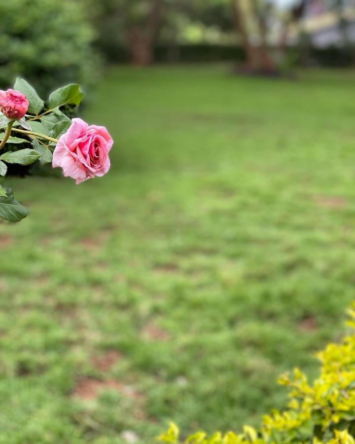 Mkoani Homestay Moshi Zewnętrze zdjęcie