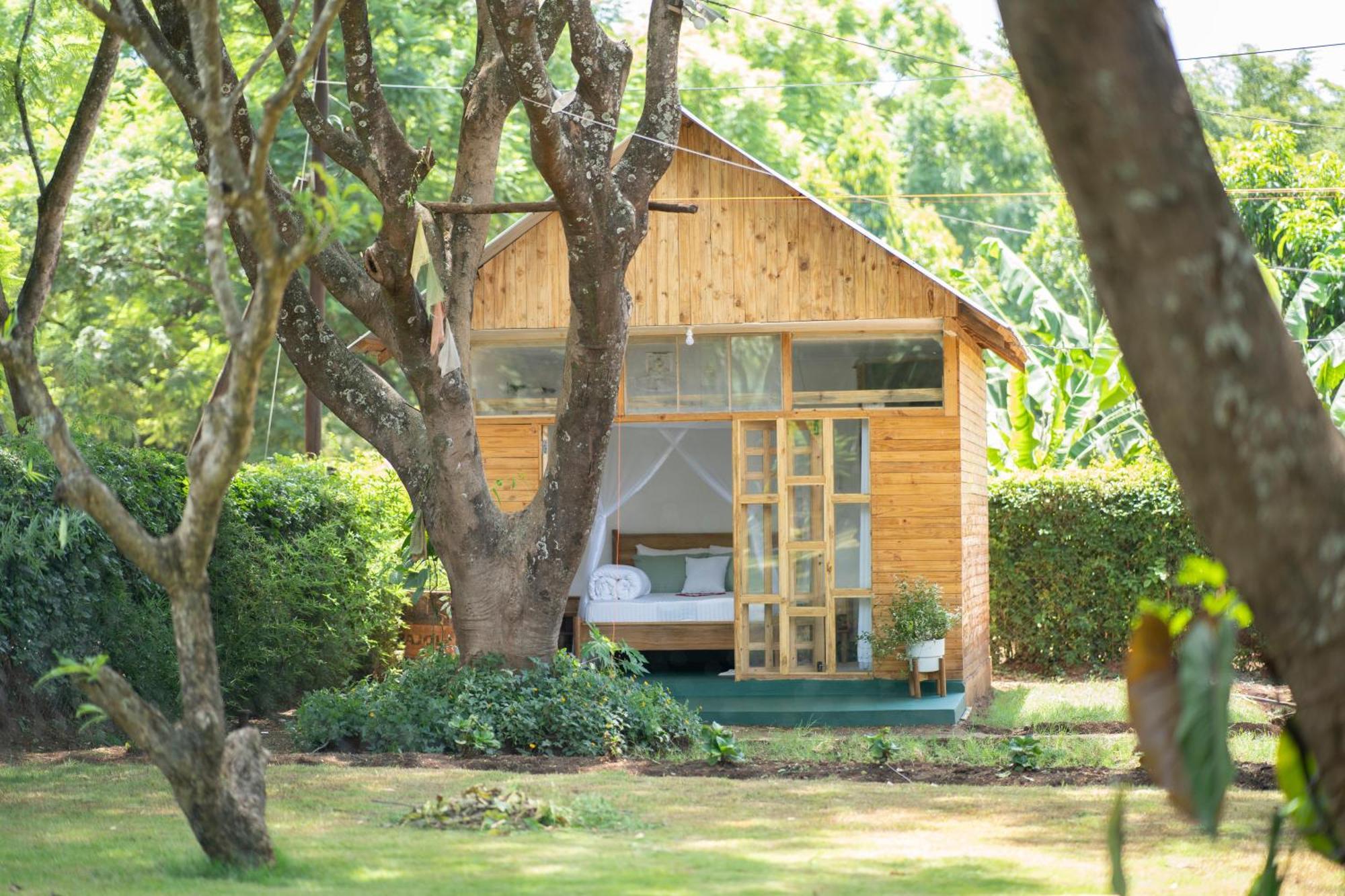 Mkoani Homestay Moshi Zewnętrze zdjęcie